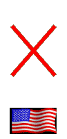 X and American Flag
