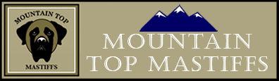 Mountain Top Mastiffs Banner