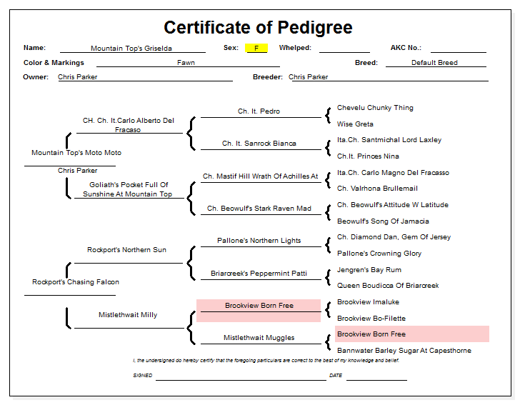 Salley Pedigree